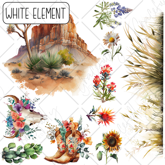 BB30 Western Florals