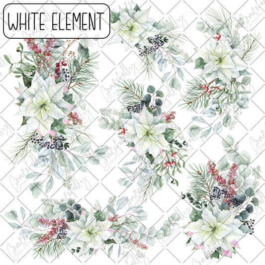 BB56 White Poinsettias