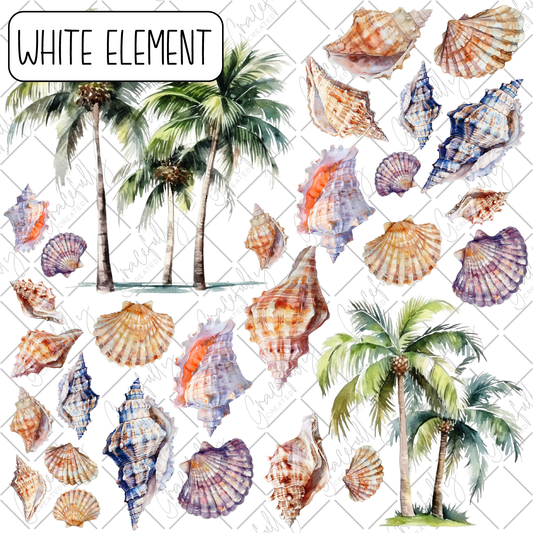 BB83 Tropical Summer Seashells