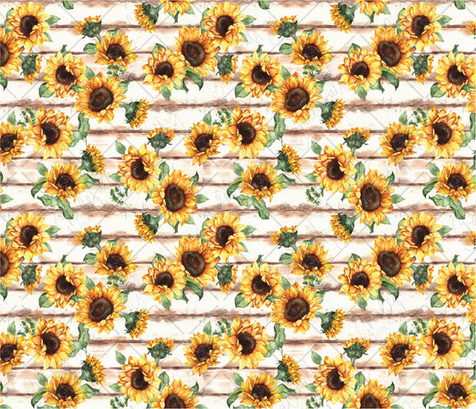 FW5 Sunflowers
