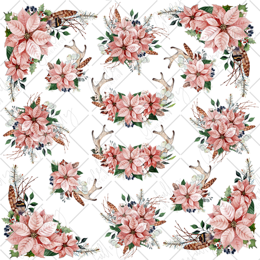 BB14 Pink Poinsettias