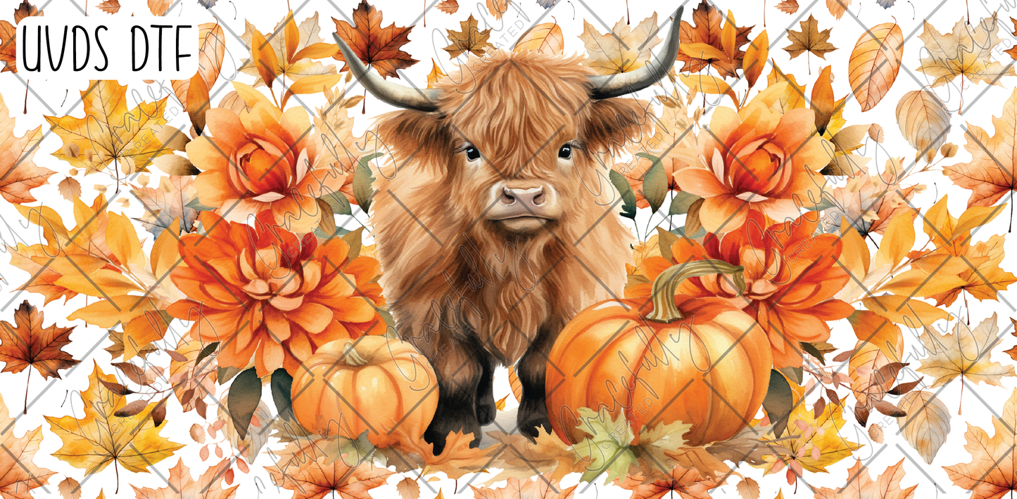 UVDS-F14 Fall Highland Cow