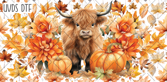 UVDS-F14 Fall Highland Cow