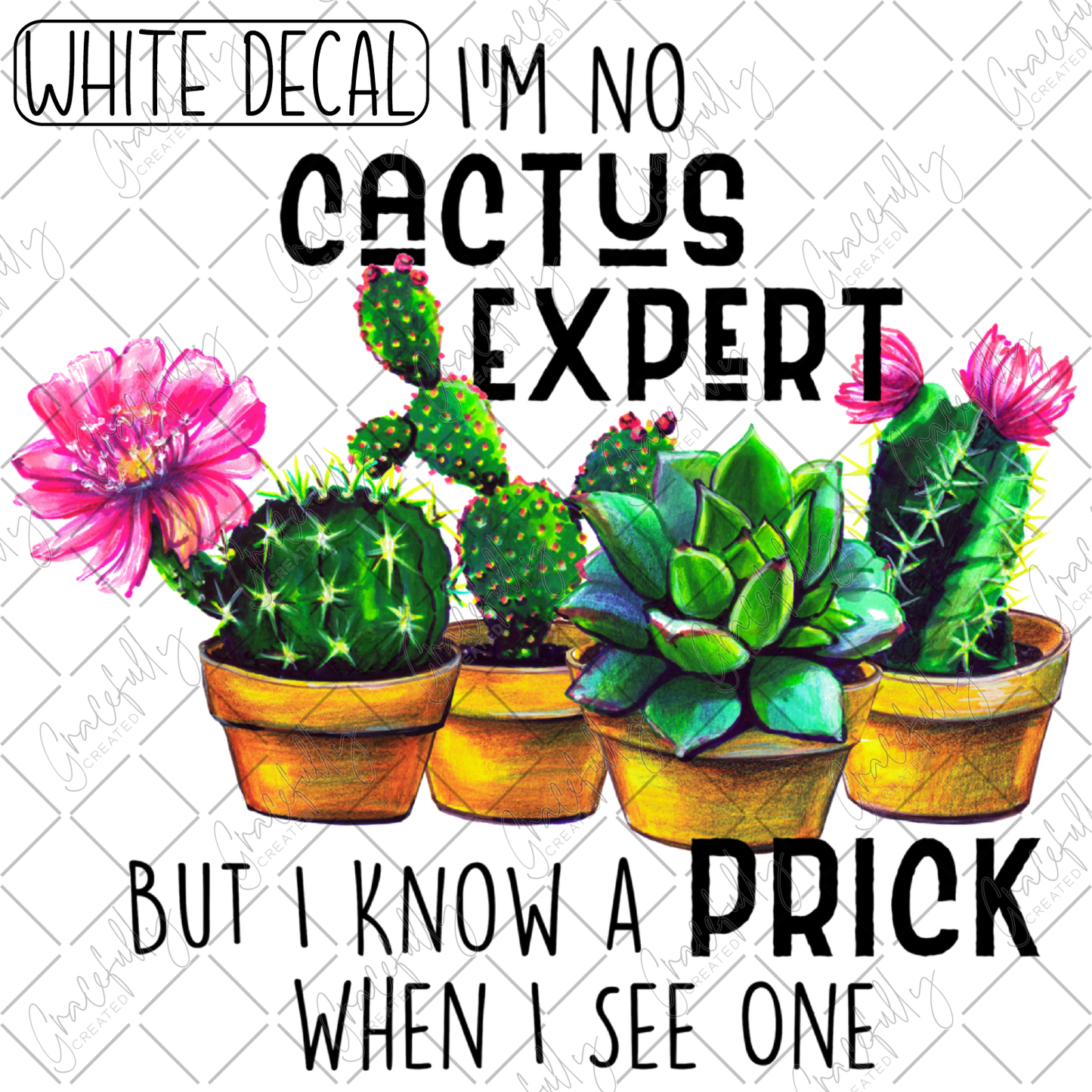 A1 Cactus Expert