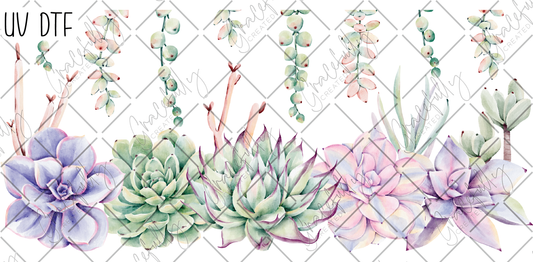 UVD8 Succulents