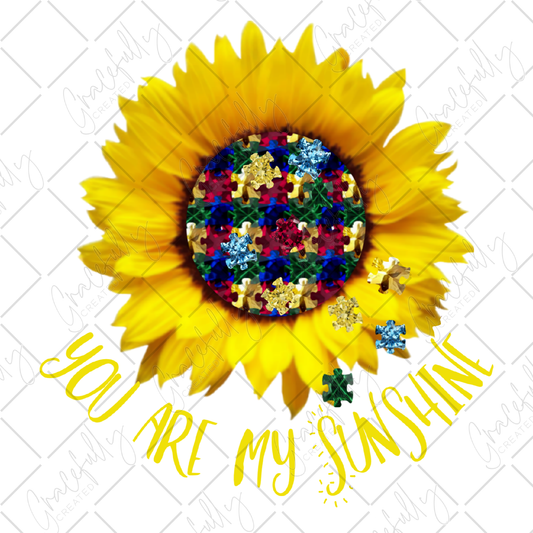 AW1 You are my Sunshine Autism