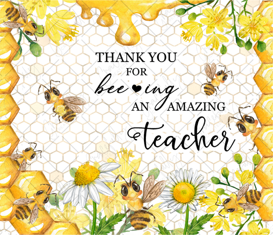 FW225 Beeing An Amazing Teacher