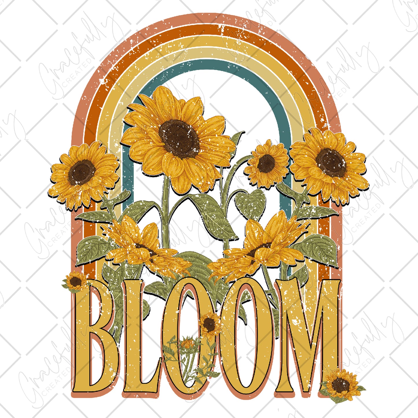 B23 Bloom