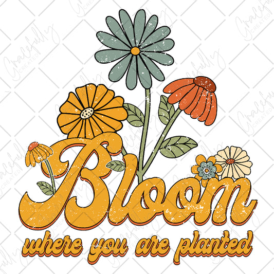 B24 Bloom Where You Are Planted