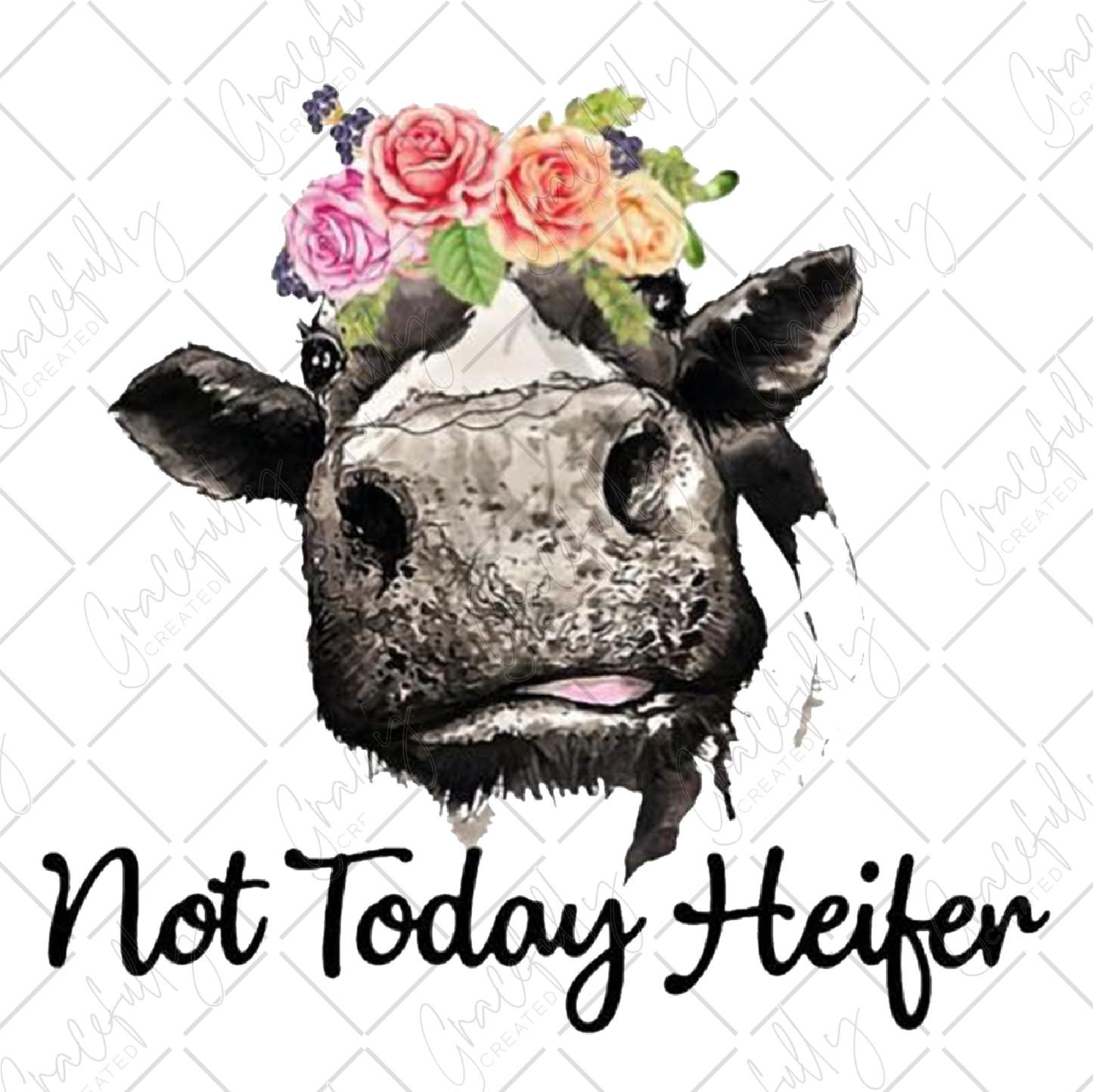 A2 Not Today Heifer