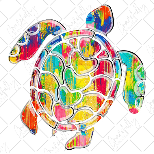 S47 Multi Color Turtle