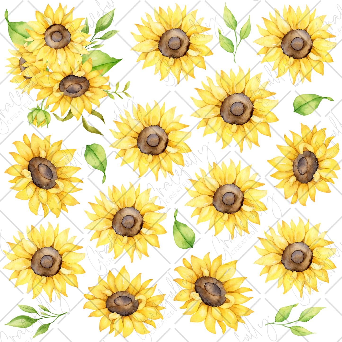 BB1 Sunflowers