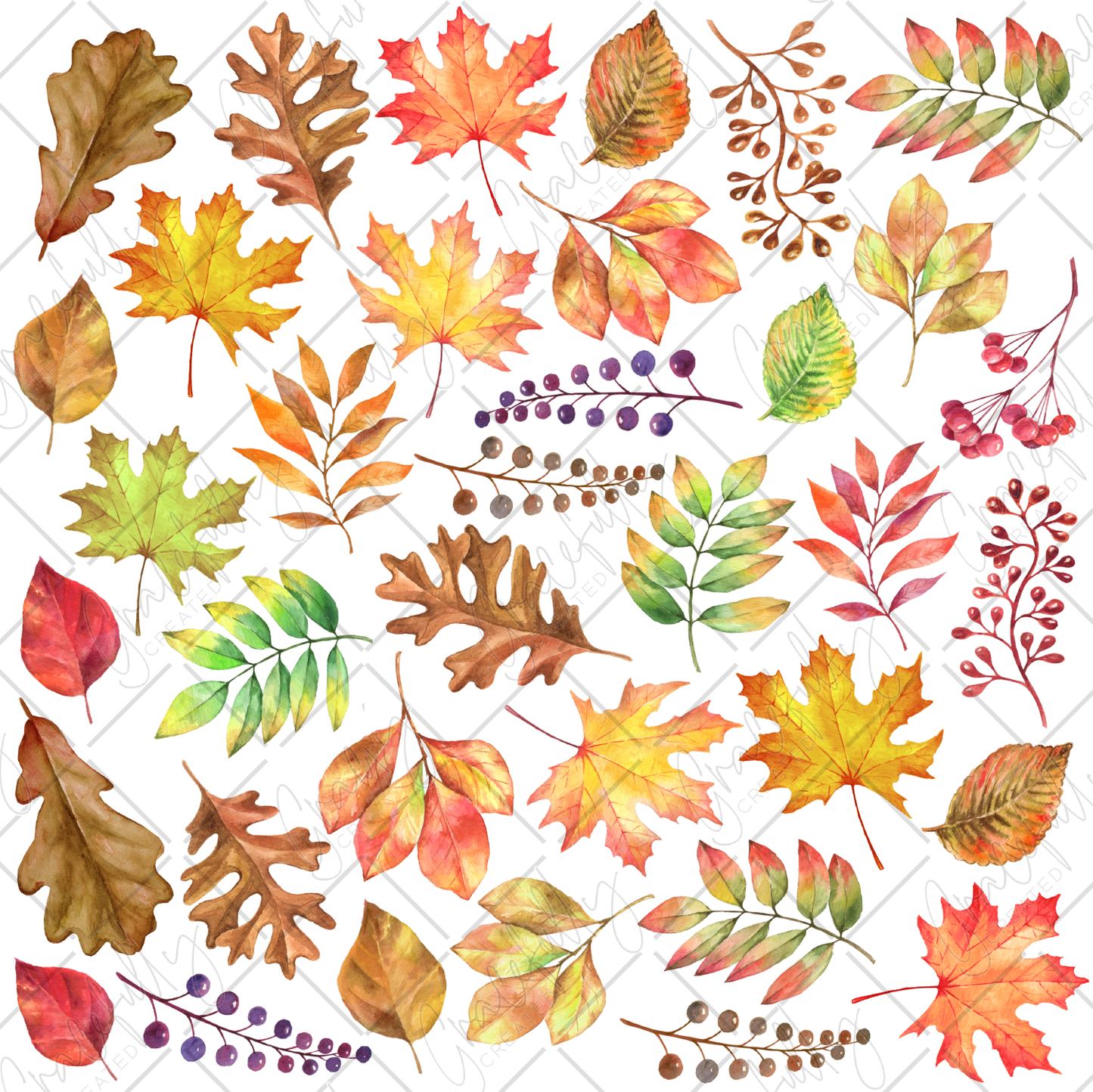 BB11 Fall Leaves