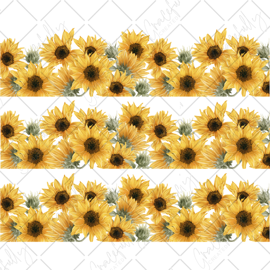 BB6 Sunflower Borders